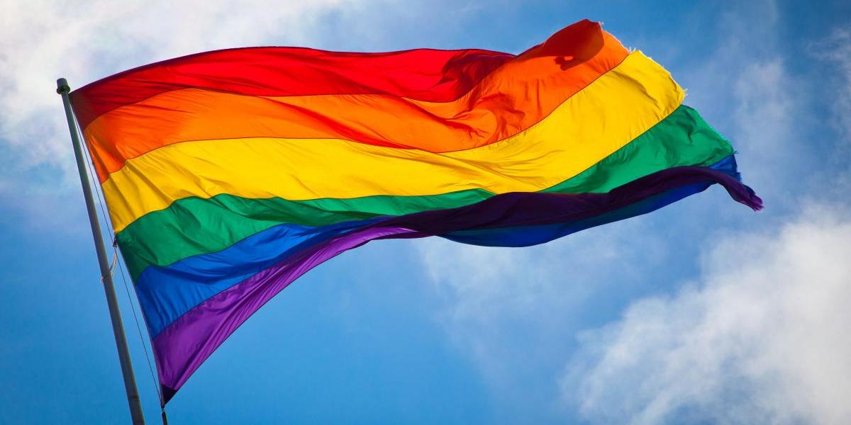 Bandera LGTBI / Foto: Wikimedia Commons