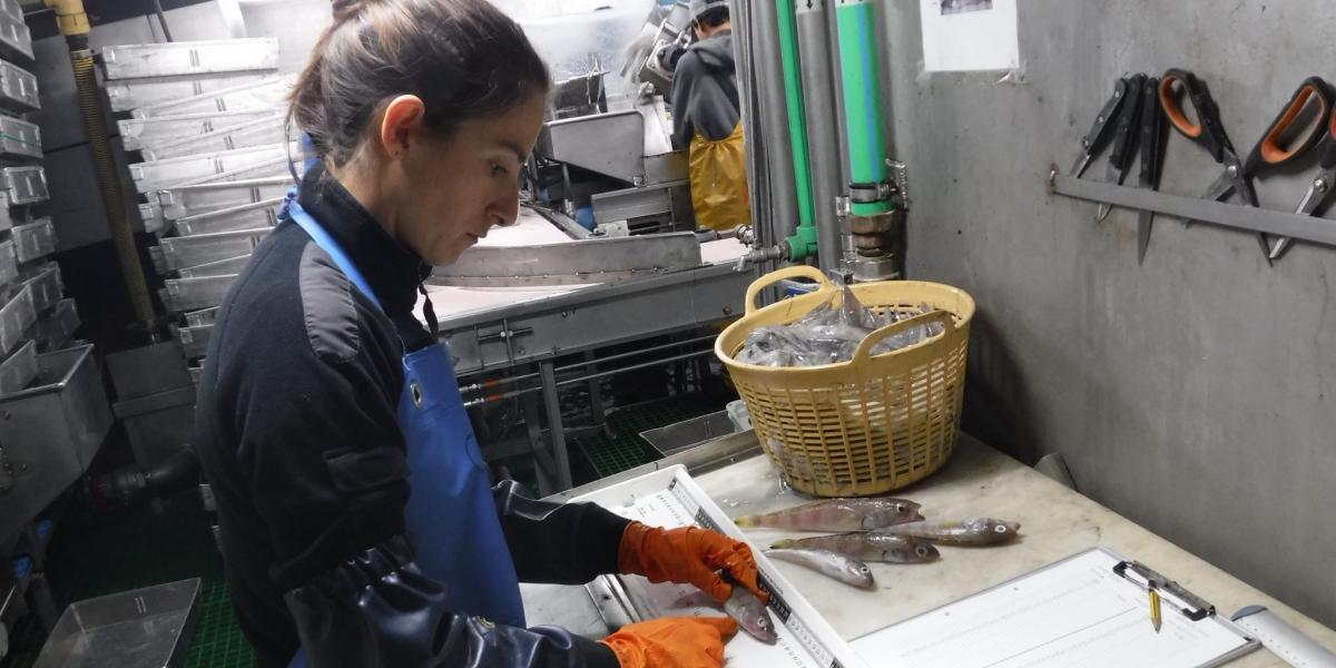 Una observadora científica marítima, durante su jornada de trabajo a bordo de un barco