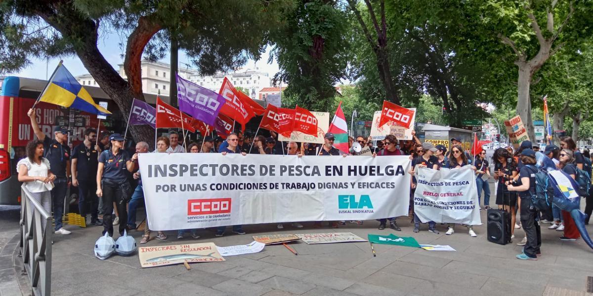Manifestacin de Inspeccin de Pesca Martima