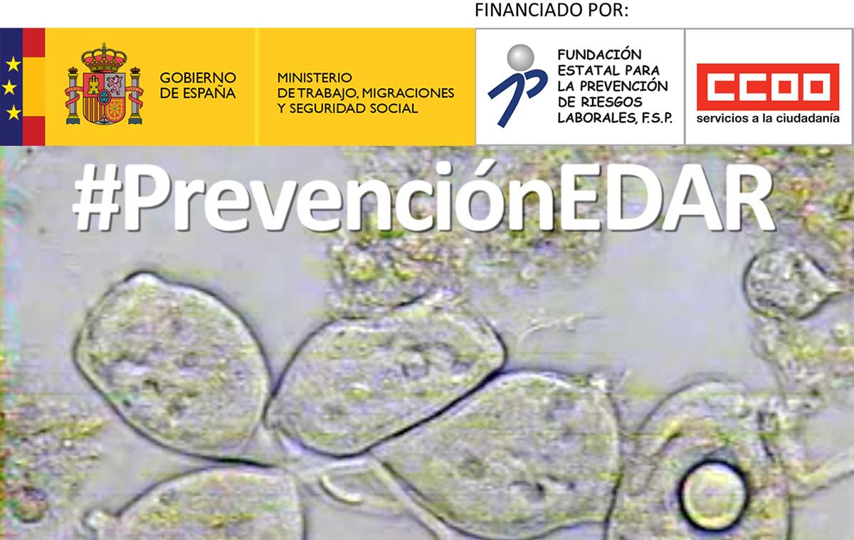 “Prevención y evaluación de la presencia de patógenos en las EDAR”