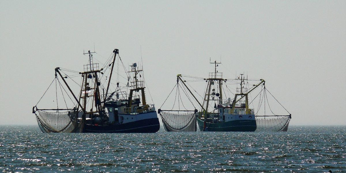 Dos barcos pesqueros - foto de pixabay