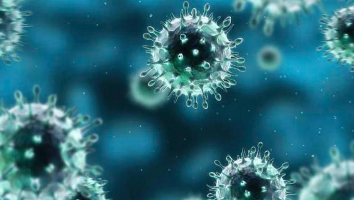 Imagen coronavirus