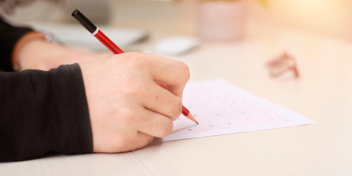 Cursos, formación, interinidad y oposiciones